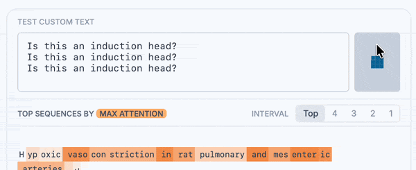 Testing an induction head with custom text.